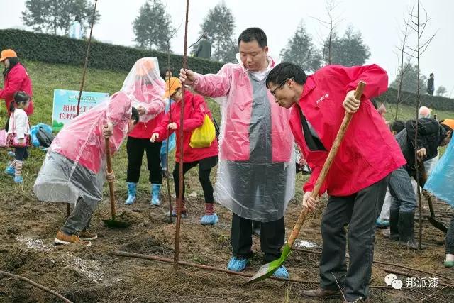 【明邦化工】3月12日牽手 “綠城飛花 美哉倫教”植樹節(jié)